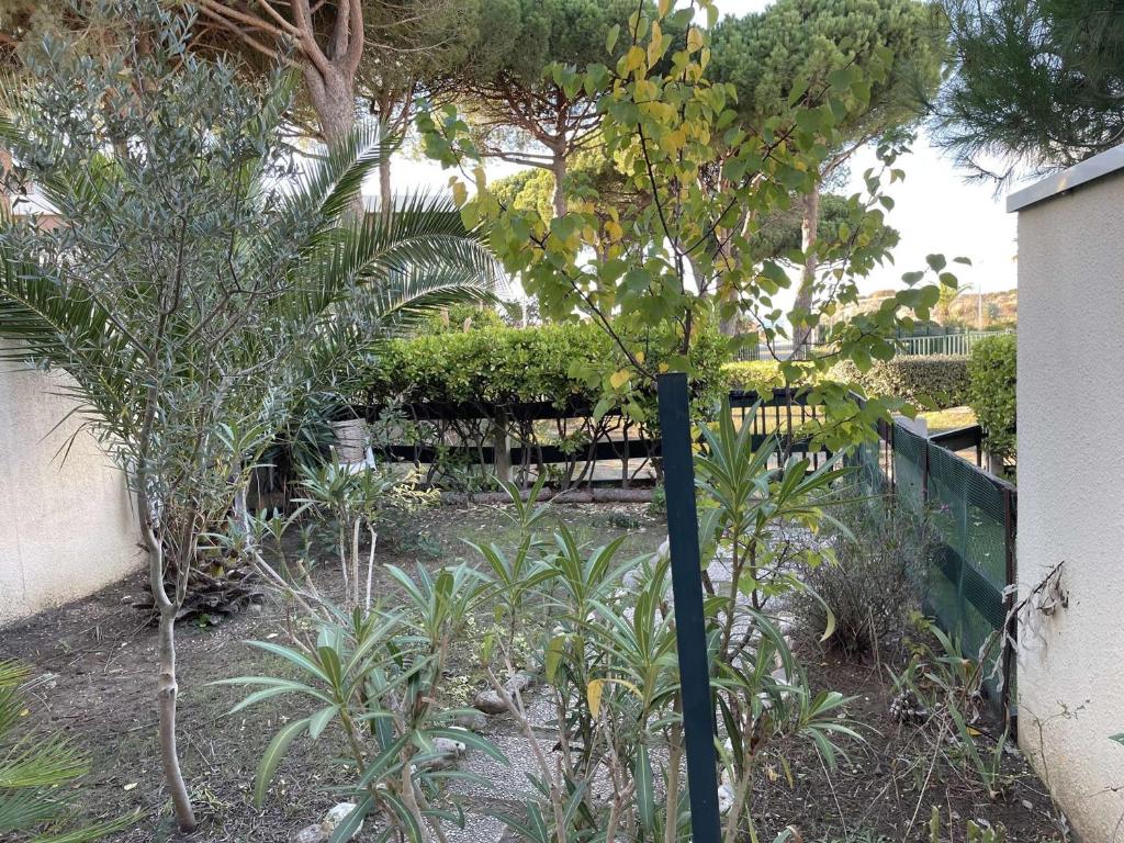 Appartement RDC à Port Camargue - 6 Couchages, Accès Direct Plage, Parking, Jardin - FR-1-250-263 - 3