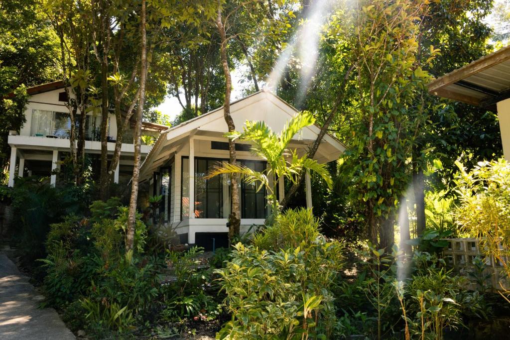 แบร์ฟุต โพรเจ็ค (BareFoot Project)