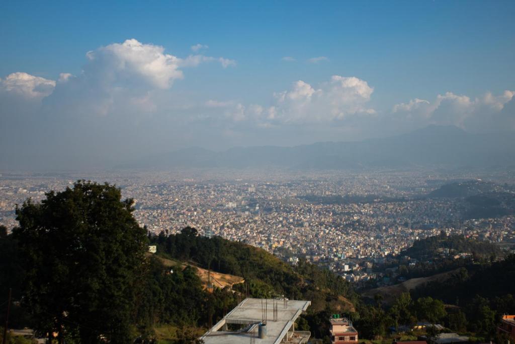 View
