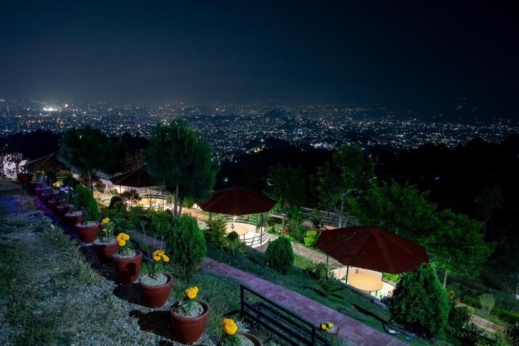 View