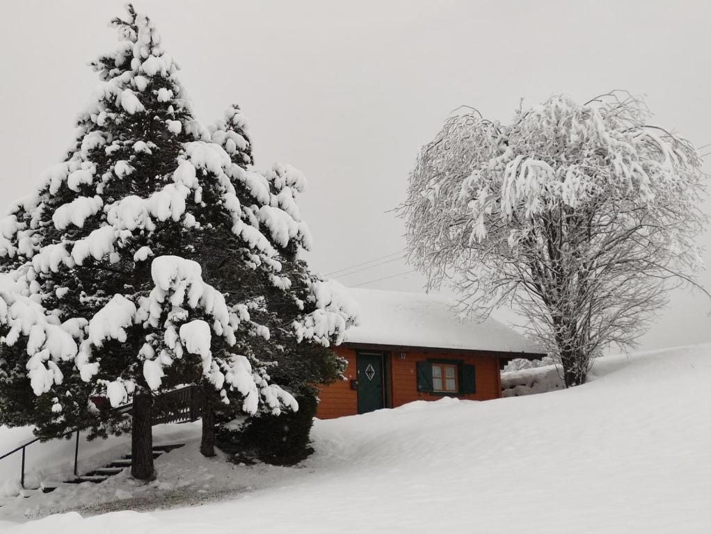 Haus Otis - 2
