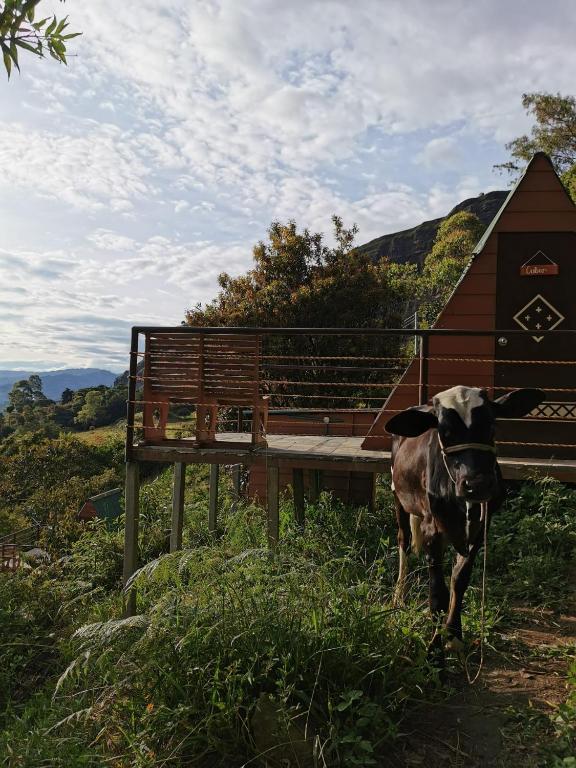 Mamaterra Glamping - 5