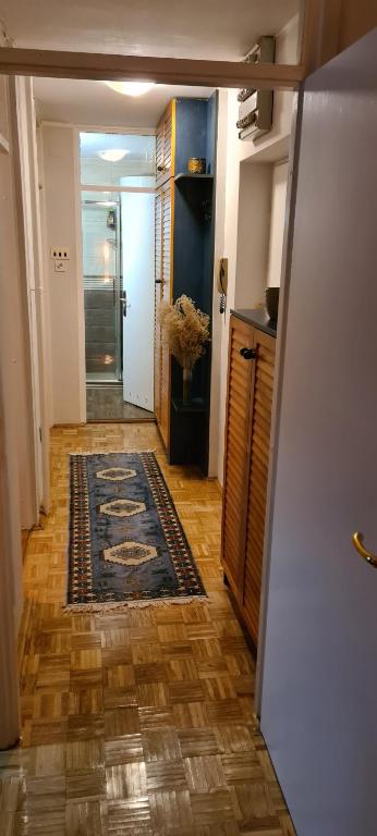 Grey apartment Novi Beograd - 3