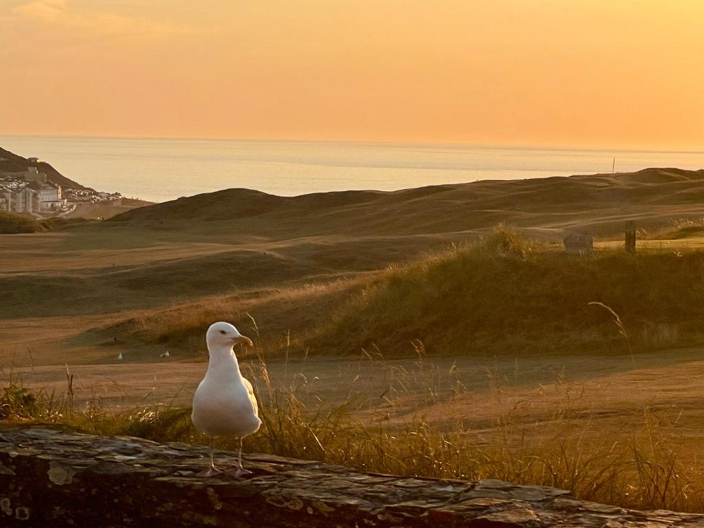 Perranporth Golf Club Self-Catering photo 8