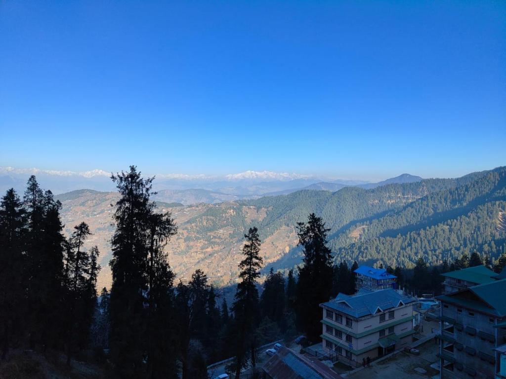 View