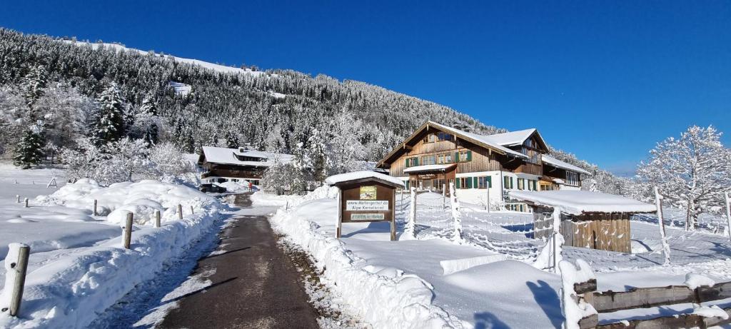 Haflingerhof - Oberjoch - 2