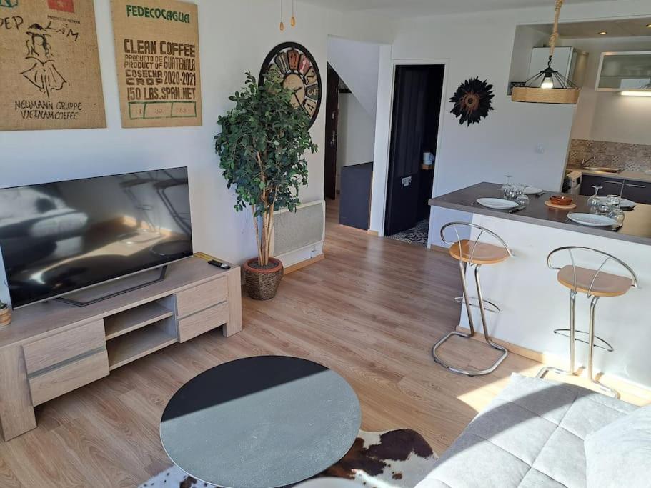 Mare Nustrum, T3 à 350m plage, wifi, piscine, tennis, Cap d'Agde