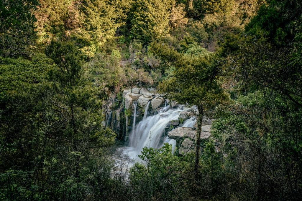 กิจกรรม