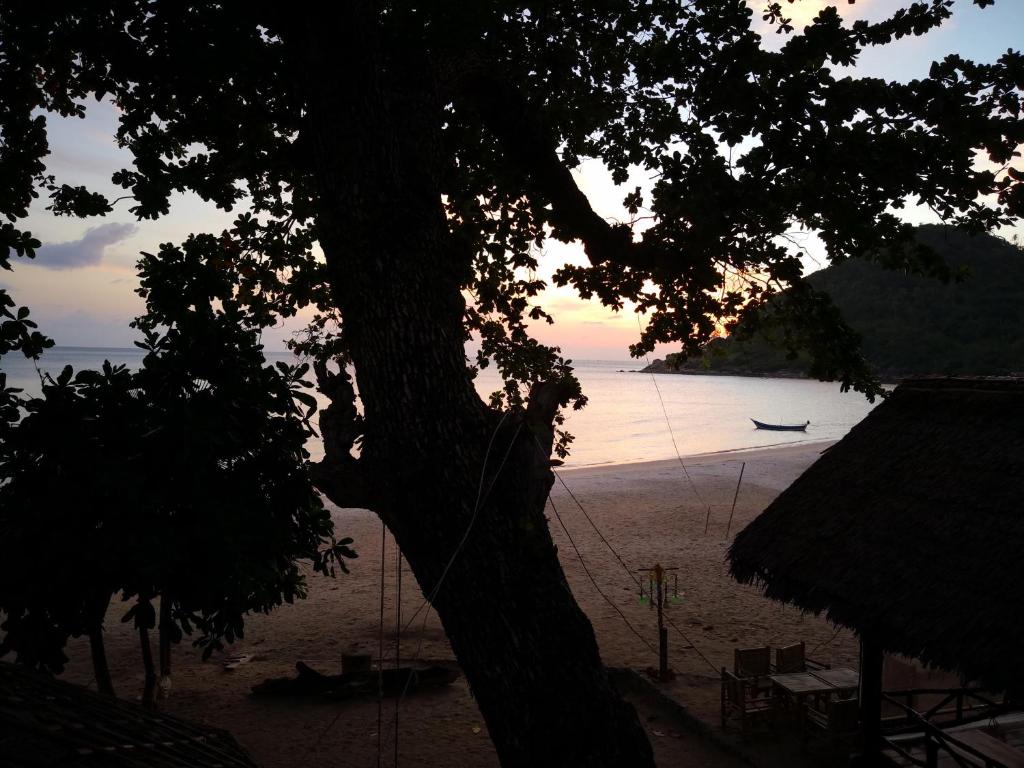 View