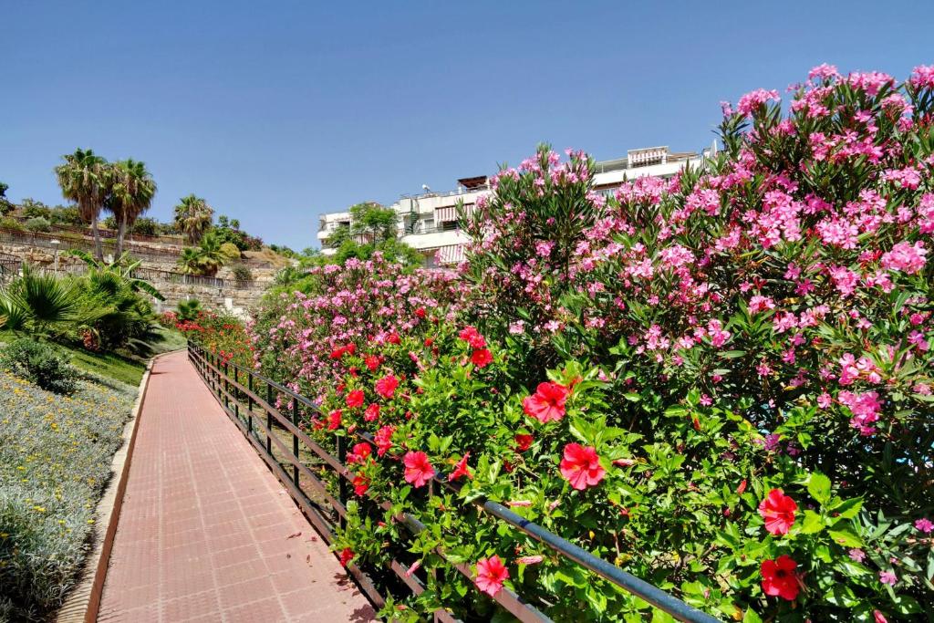 Del Parque Flats - Golf & Beach Terrace - 4