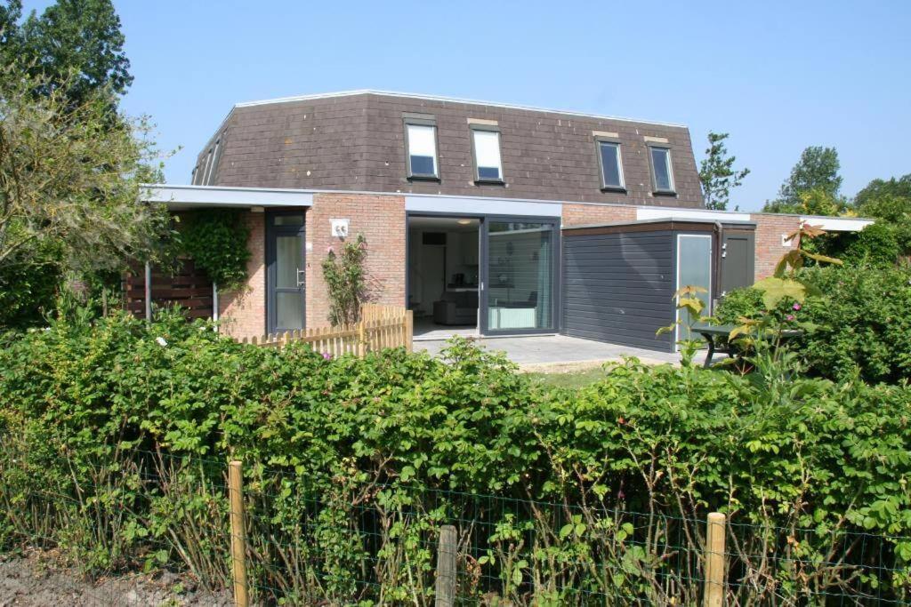 Heggerank 50*, Nieuwvliet