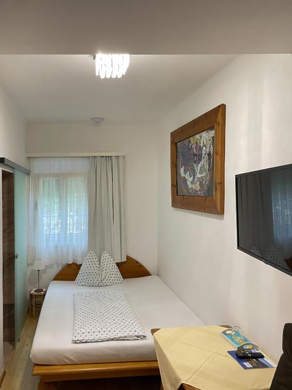 Pension Sedlak - 5