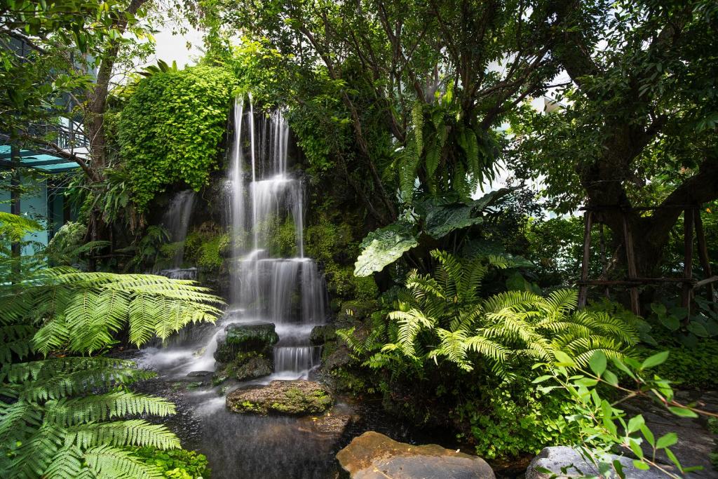 ทัศนียภาพ