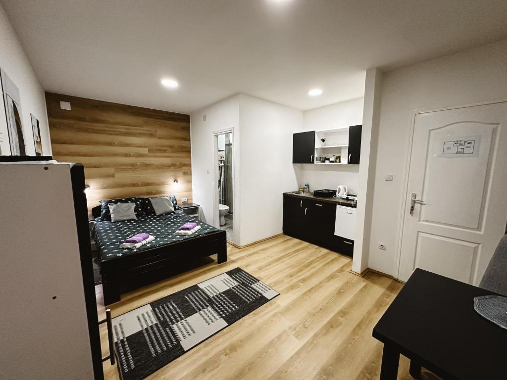 S. A. L. 2, Zrenjanin