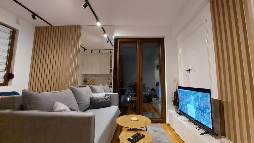 Vizija Zlatibor, Zlatibor