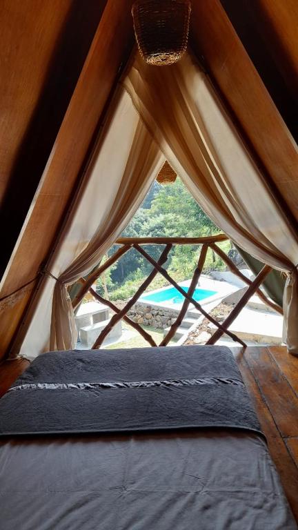 Ảnh 2
