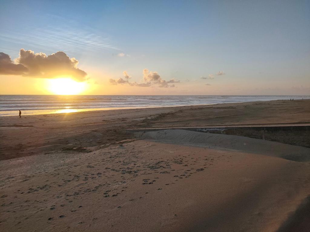 Appartement confortable, face à la mer, animaux admis - FR-1-323-449 - 2