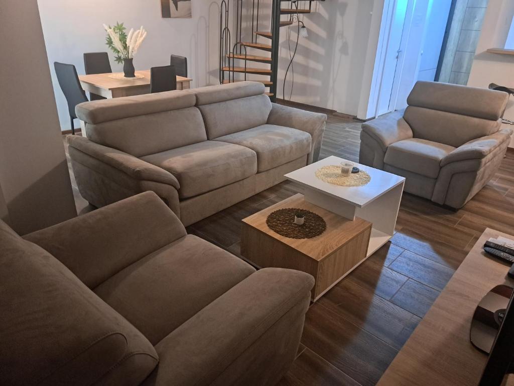 Daka, Vrnjačka Banja