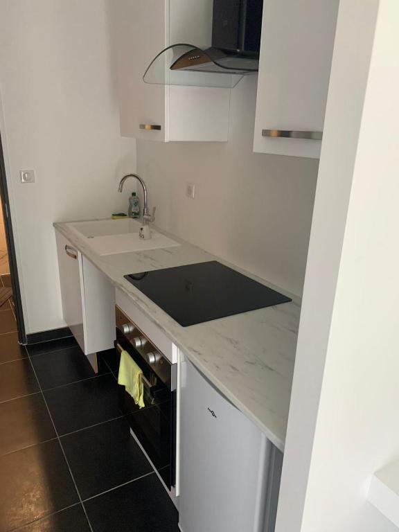 3 jolies pavillons type studio, Nancy