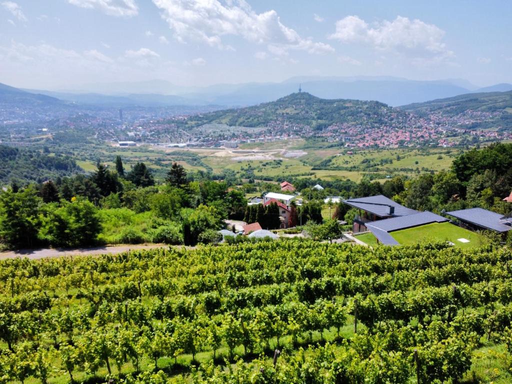 Hedona Vineyard Apartments - 2
