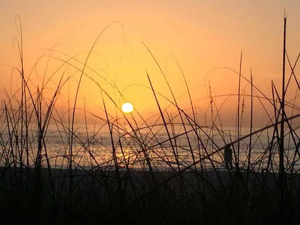 Sea Pirate 7, Holmes Beach