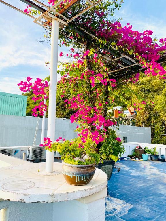 Thien Nguyen Homestay