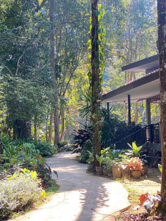 Facilities, Khao Sok Nature Resort in Khao Sok (Suratthani)