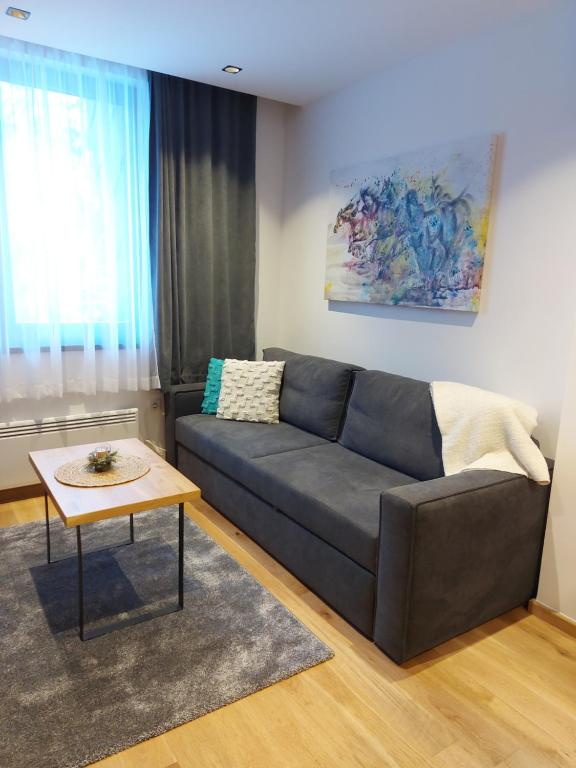 Zlatni javor Apartman 401 - 5