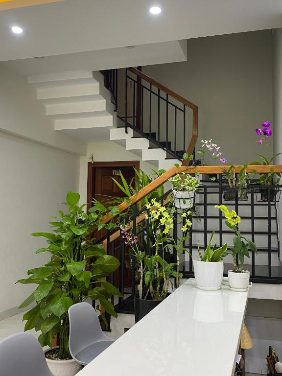 Biển Hoa - Floral Sea Homestay