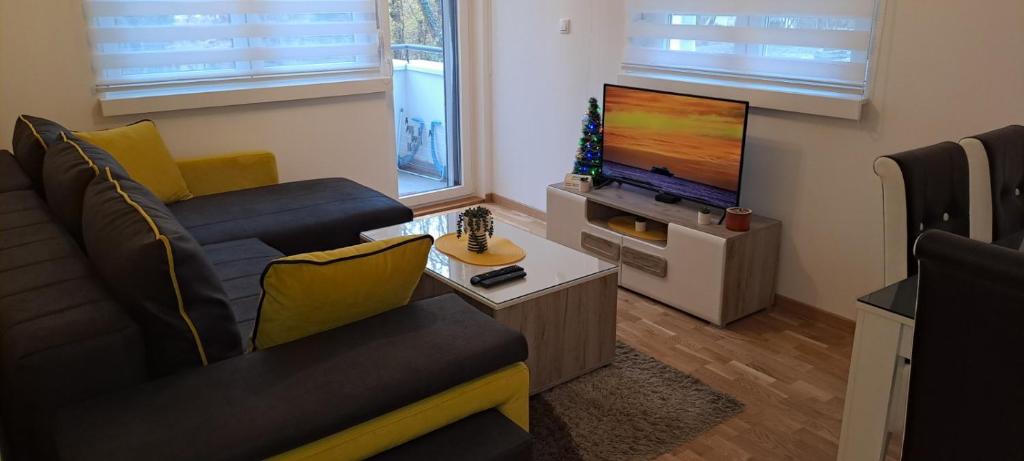 Apartman TEJA DELUXE - 4