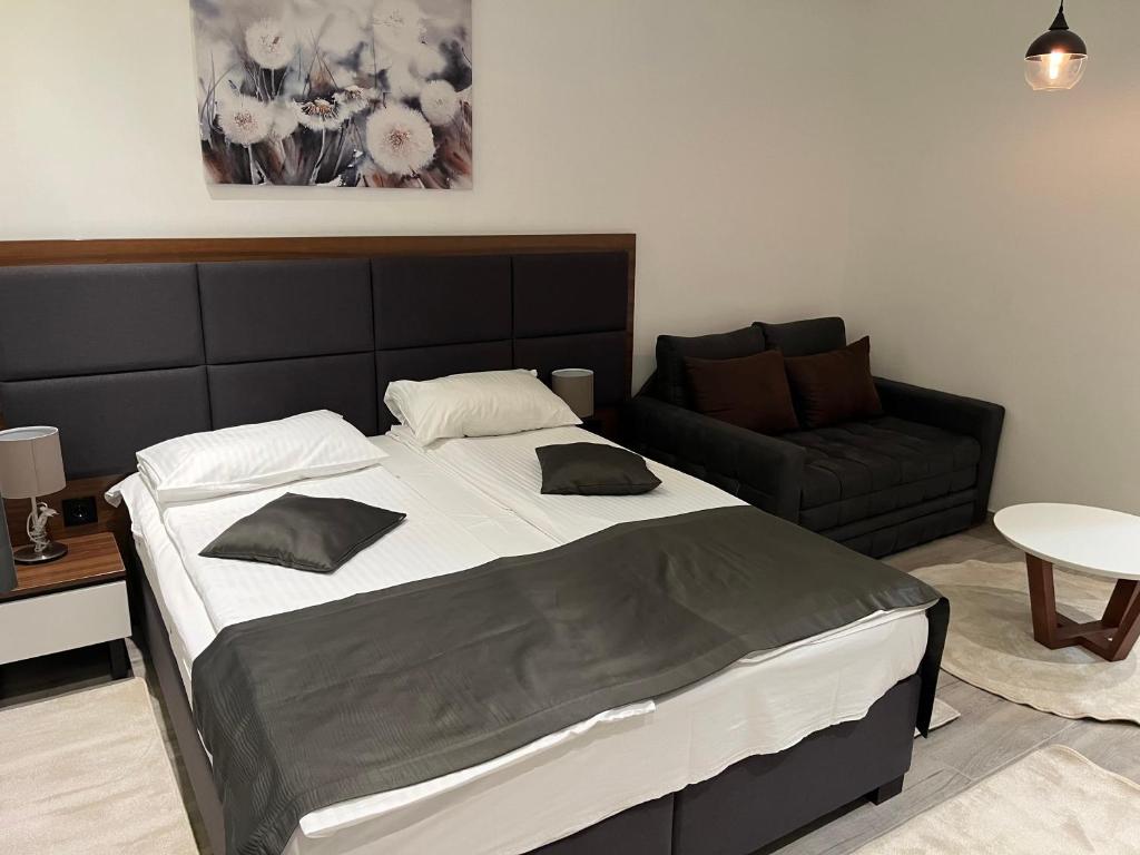 Apart Hotel & spa Zoned II, Kopaonik, apartman Lukač - special benifit Children up to 17 of age accompanied by two adutls staj for free! FREE PARKING! - 3