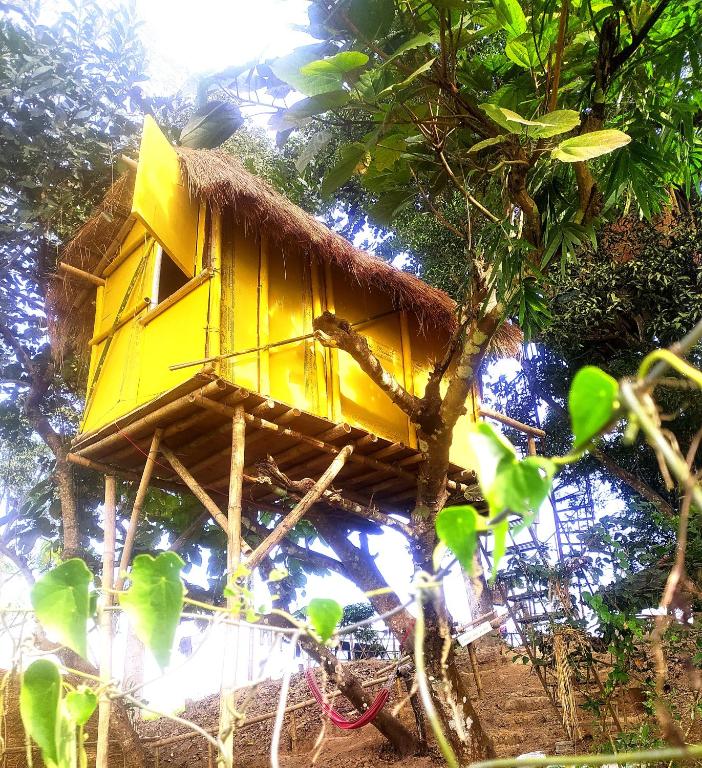 Budget Single Room, Pemsee's Tree Town in Chitwan