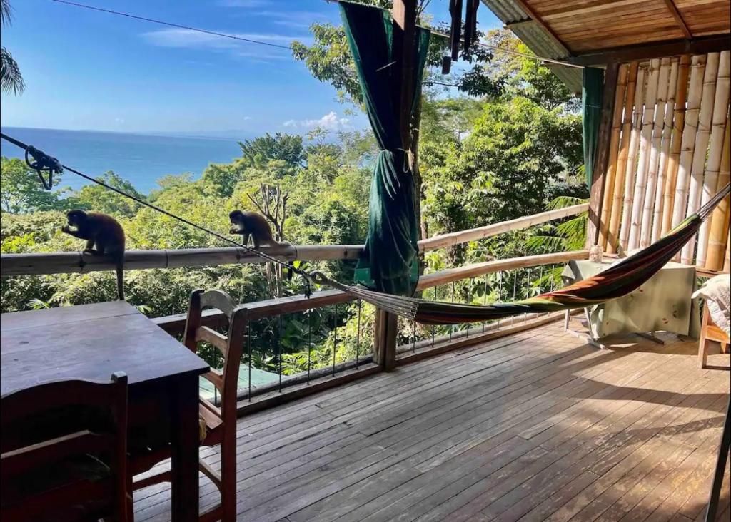 Iwazaru Panoramic ocean view bed and breakfast