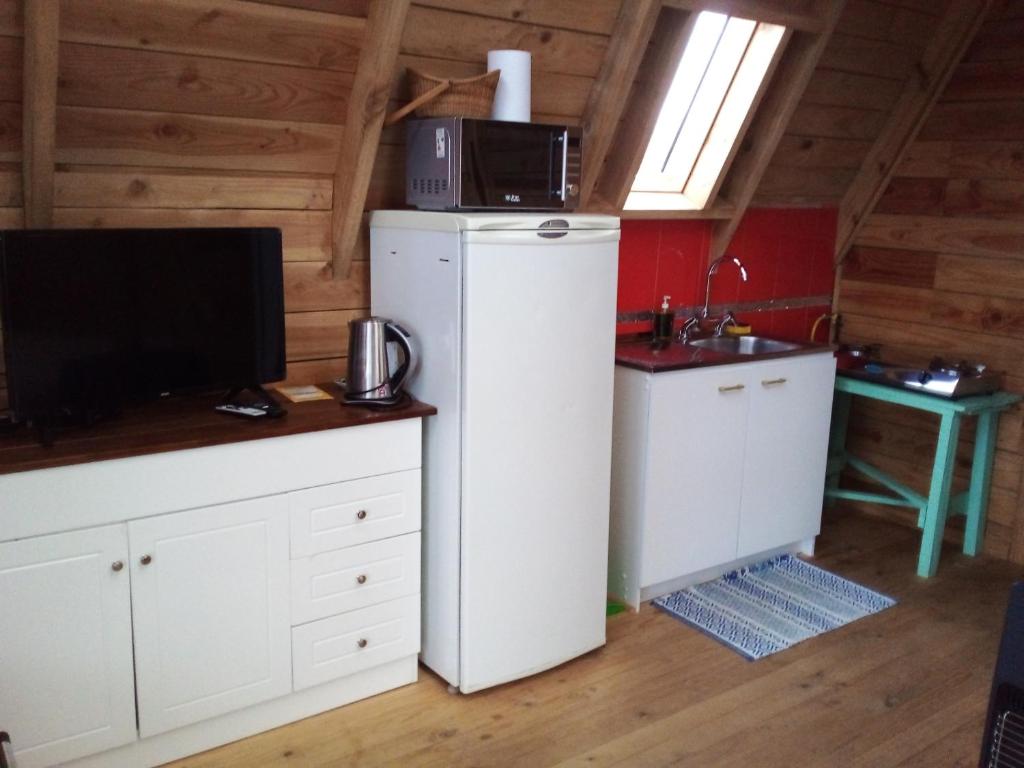 Linda cabaña en Puyehue con vista al volcán - 4