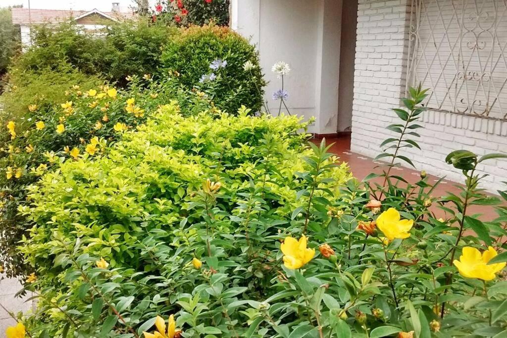 Mar del Plata Apt. De La Loma Temporary Rental - 2