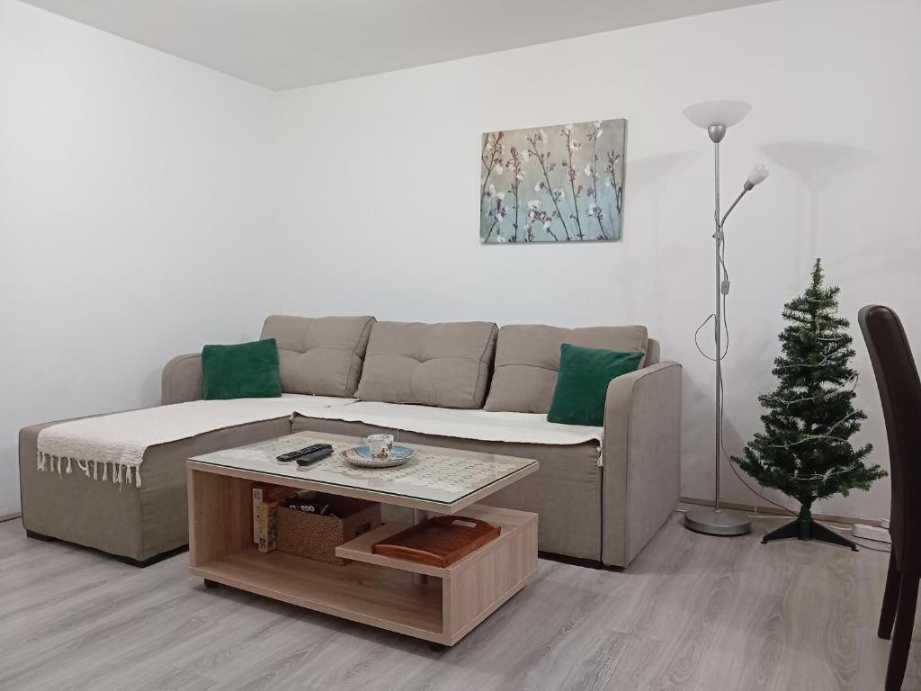 Apartman Žujan - 2
