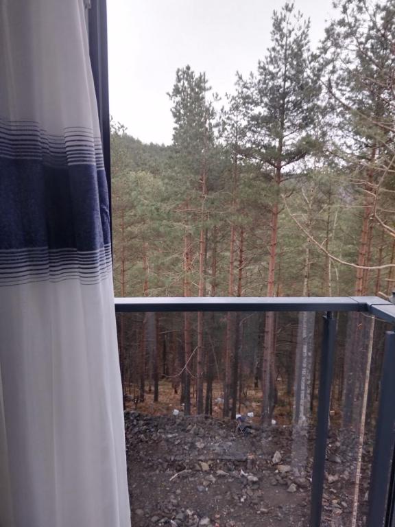Apartman Vasilije - 5