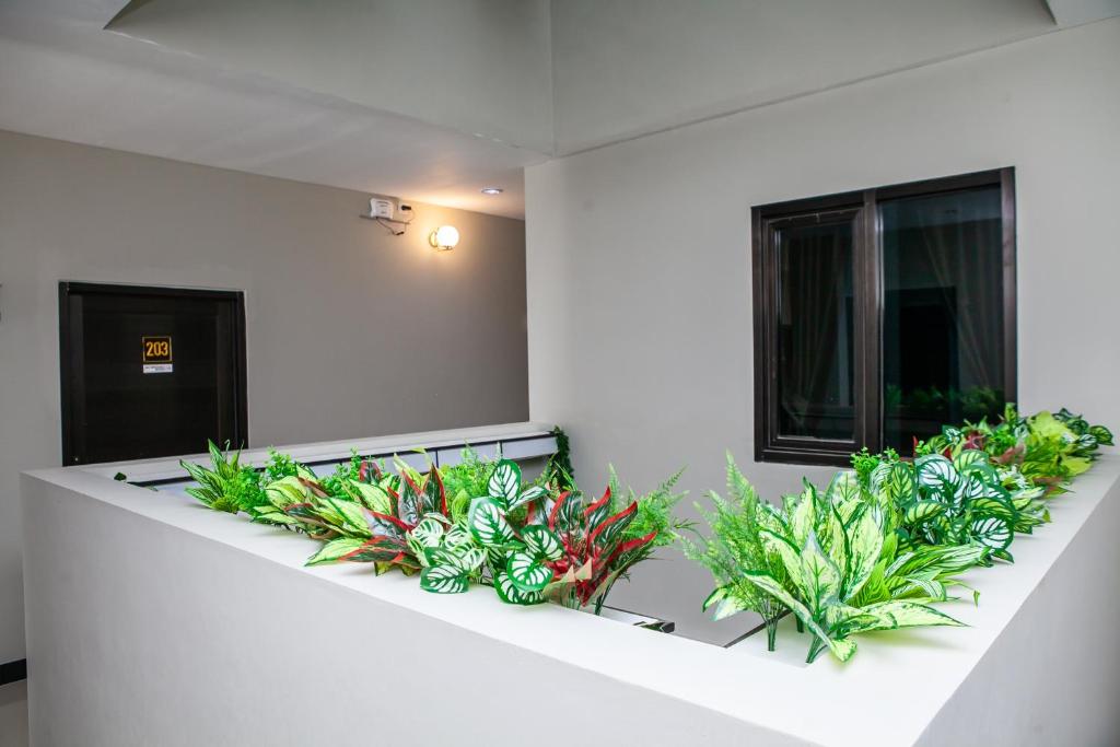 SABA AYU GUEST HOUSE