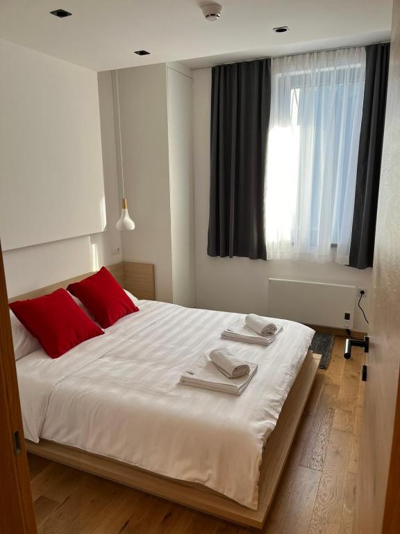Apartman 502 i Apartman 503 - 3