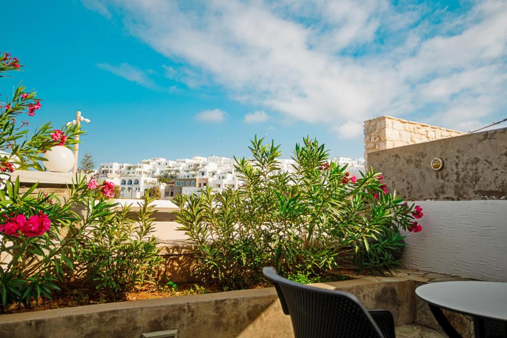 ทัศนียภาพ