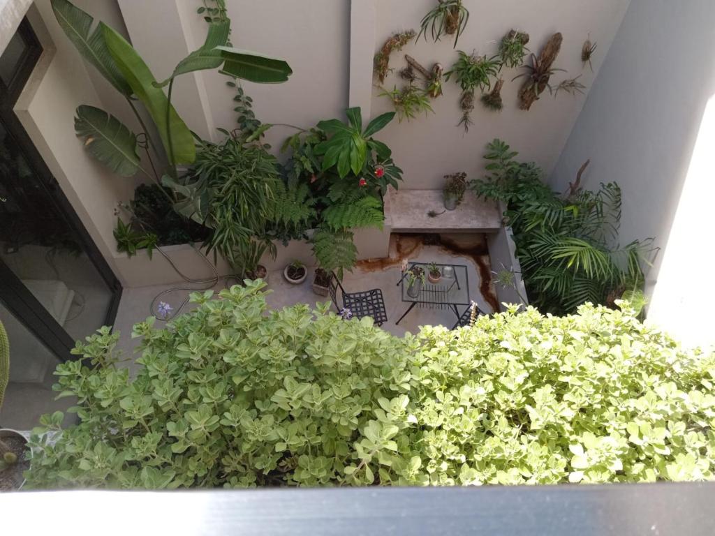 Habitación con baño uso exclusivo en una casa compartida en primer piso por escalera - 4