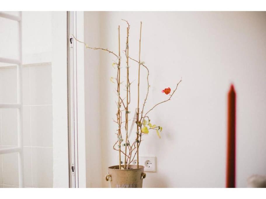 SkyLine penthouse in the heart of Madrid TET - 4