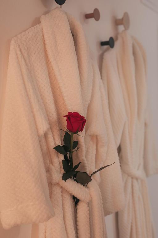 Luxury Jacuzzi Apartment - 2