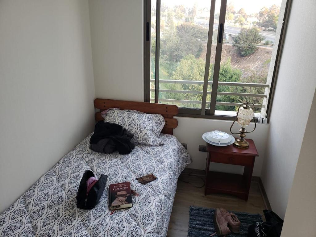 Hermoso y cómodo departamento en Viña del Mar - 5