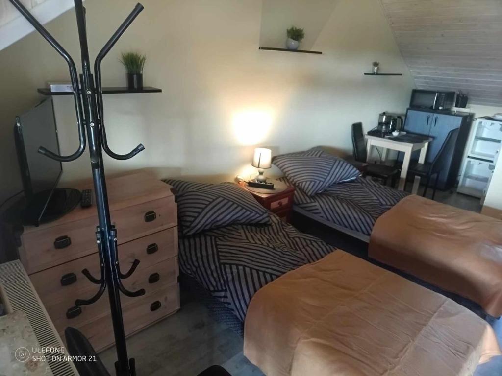 NOCLEGI Marek - Darłowo Centrum, Darłowo