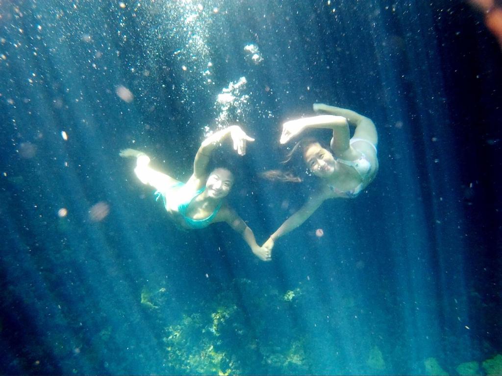 アクティビティ