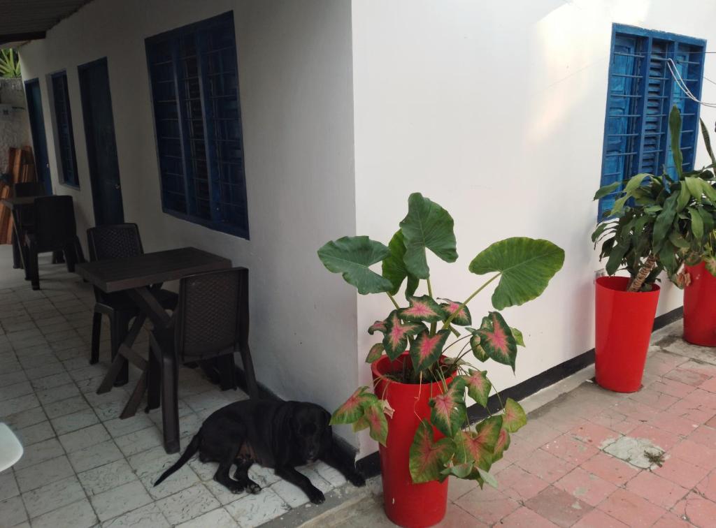 Belcanto Room's - 4