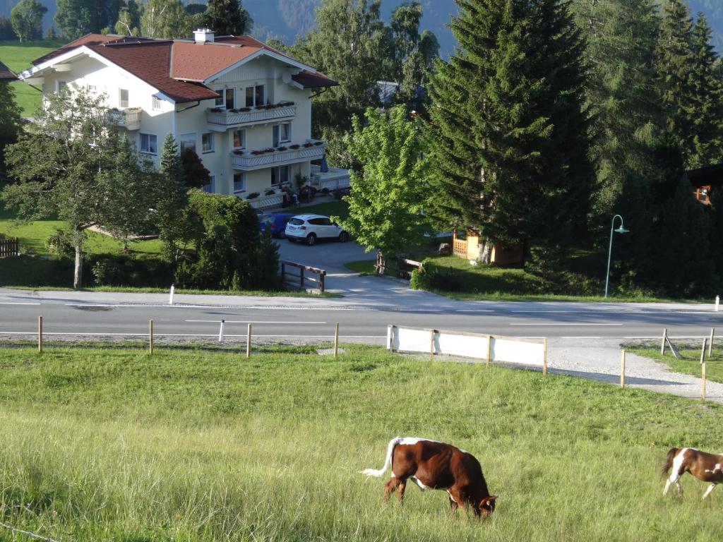 Surrounding environment