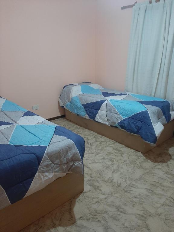 La Casa de Zoe - 5