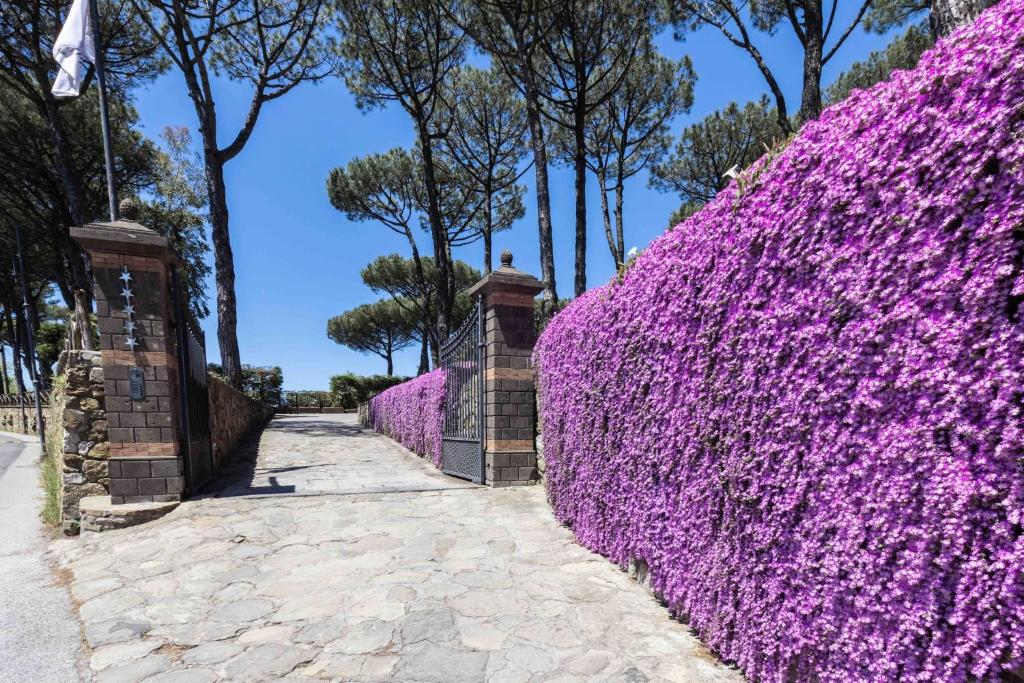 My Exclusive Italy - Elegant Sorrento Coast Villa with Pool and Tennis Court - 4